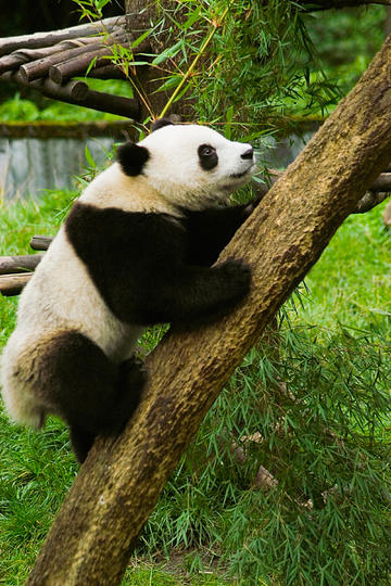 章昊韩维辰舞台
